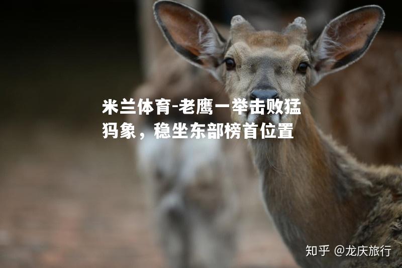 米兰体育-老鹰一举击败猛犸象，稳坐东部榜首位置