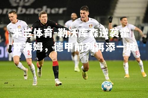 米兰体育-勒沃库森逆袭霍芬海姆，德甲前列再添一城