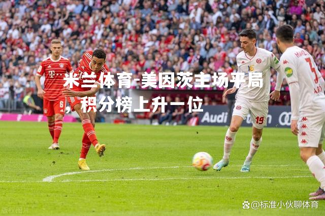 米兰体育-美因茨主场平局，积分榜上升一位