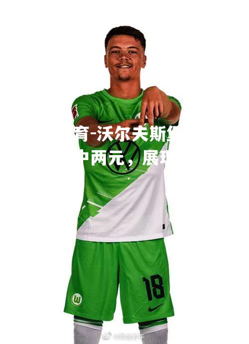 米兰体育-沃尔夫斯堡年轻前锋独中两元，展现个人实力