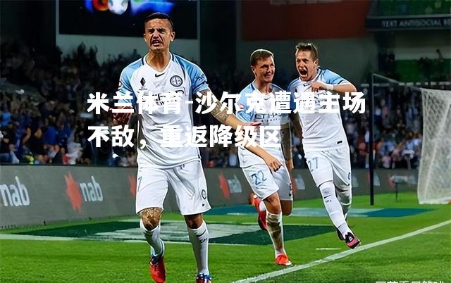 米兰体育-沙尔克遭遇主场不敌，重返降级区