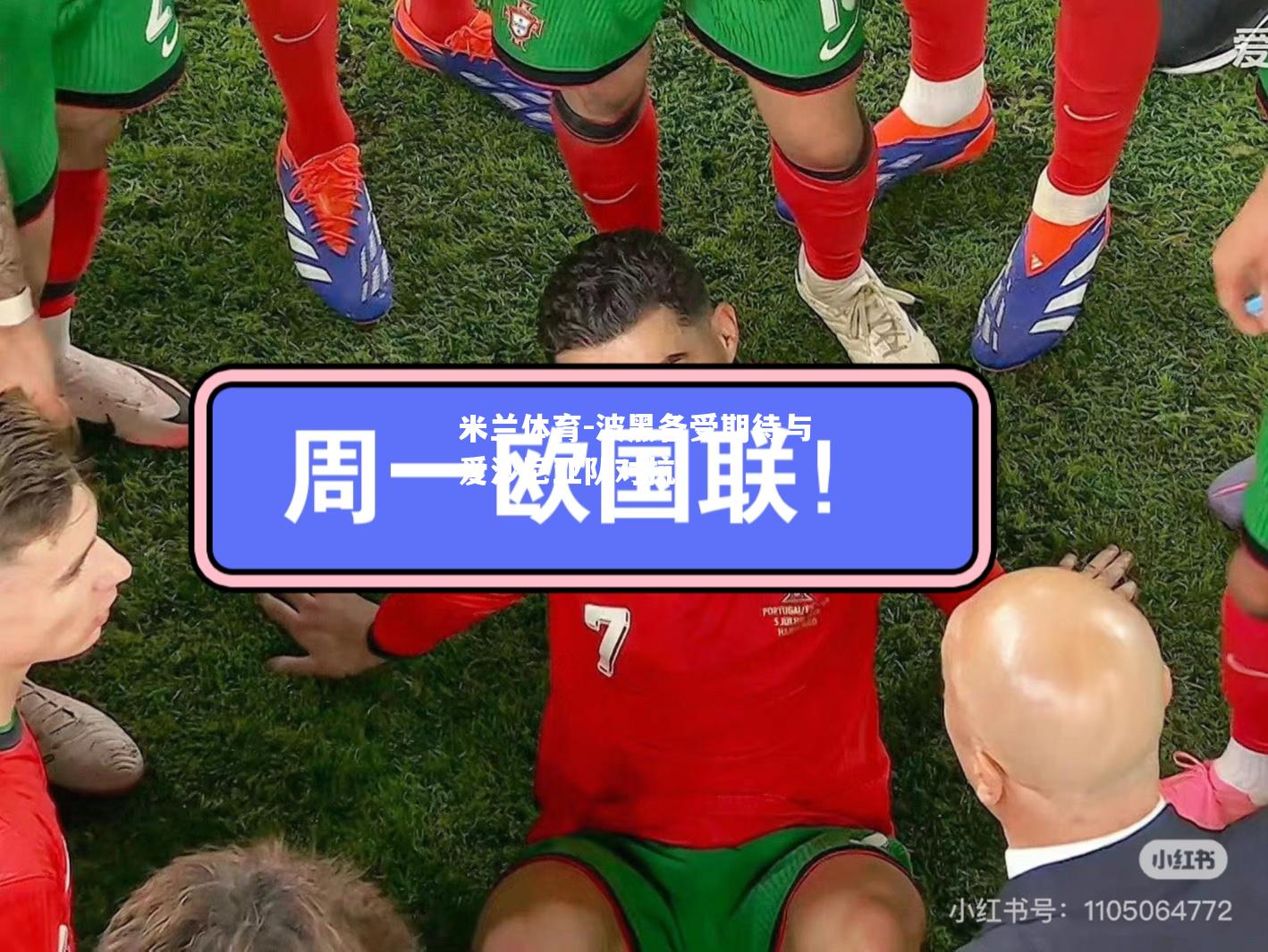 米兰体育-波黑备受期待与爱沙尼亚队对抗