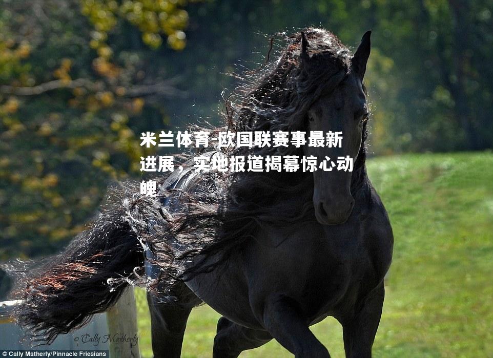米兰体育-欧国联赛事最新进展，实地报道揭幕惊心动魄