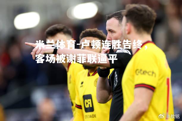 米兰体育-卢顿连胜告终，客场被谢菲联逼平